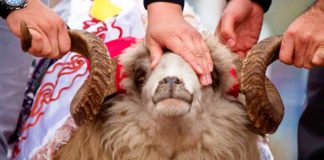 Құрбан айт: Арнайы баталар